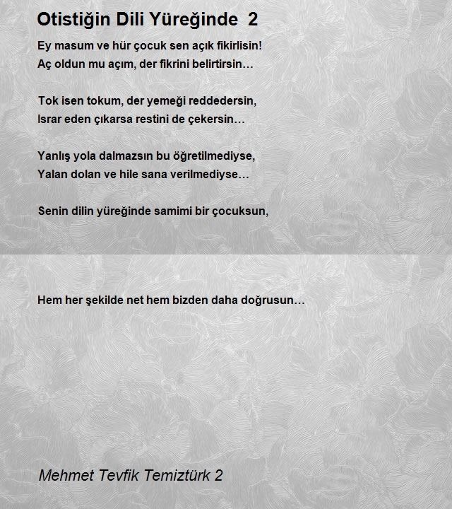 Mehmet Tevfik Temiztürk 2