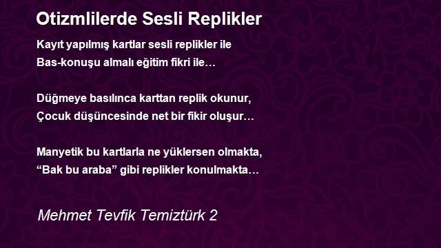 Mehmet Tevfik Temiztürk 2