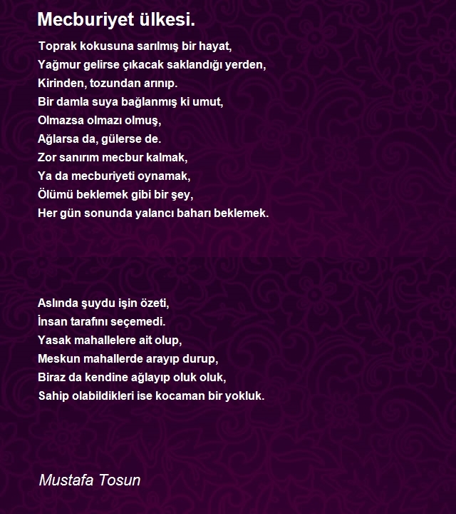 Mustafa Tosun