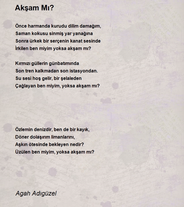 Agah Adıgüzel