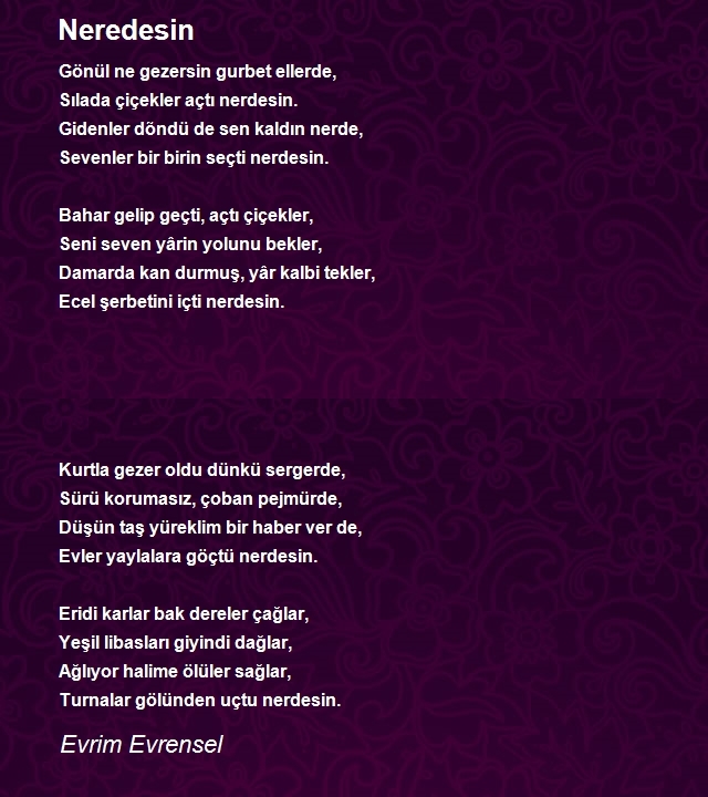 Evrim Evrensel