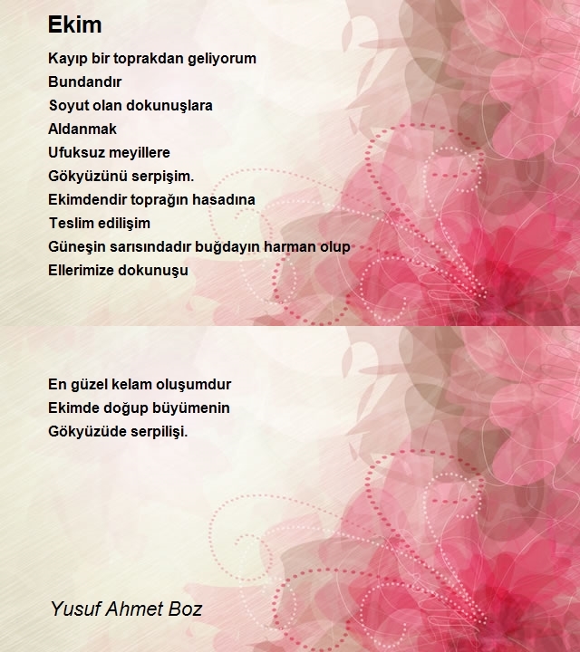 Yusuf Ahmet Boz