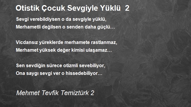 Mehmet Tevfik Temiztürk 2