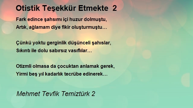 Mehmet Tevfik Temiztürk 2