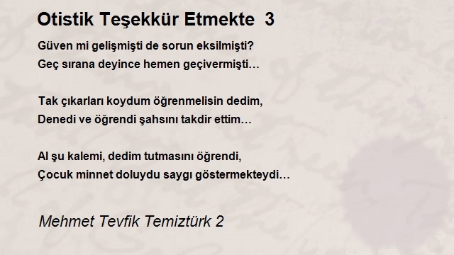 Mehmet Tevfik Temiztürk 2