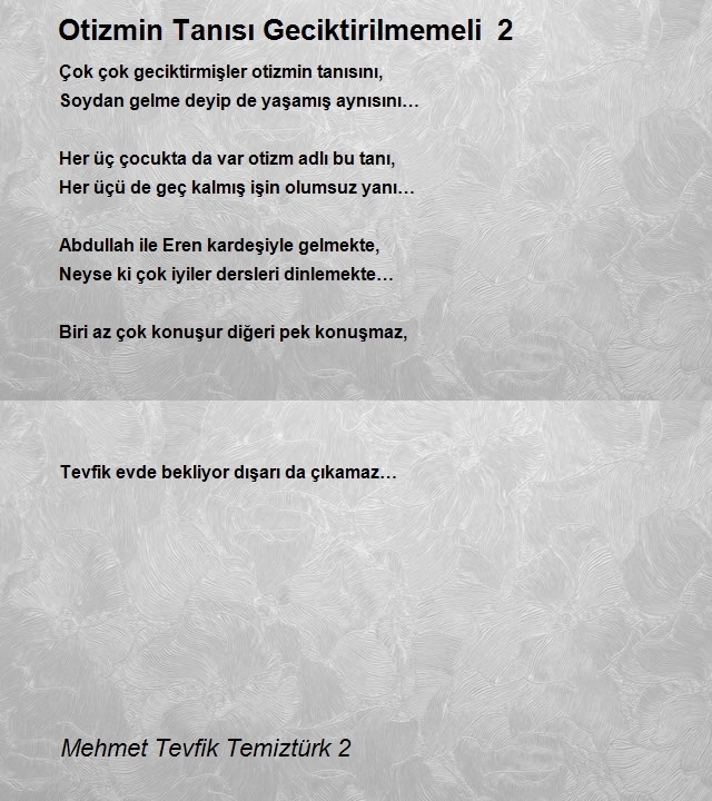 Mehmet Tevfik Temiztürk 2