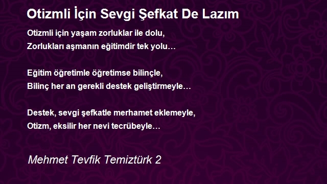 Mehmet Tevfik Temiztürk 2