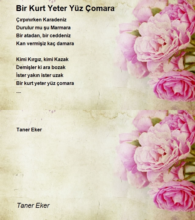 Taner Eker