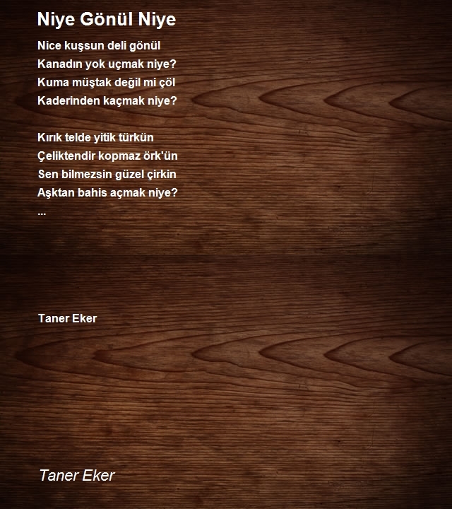 Taner Eker