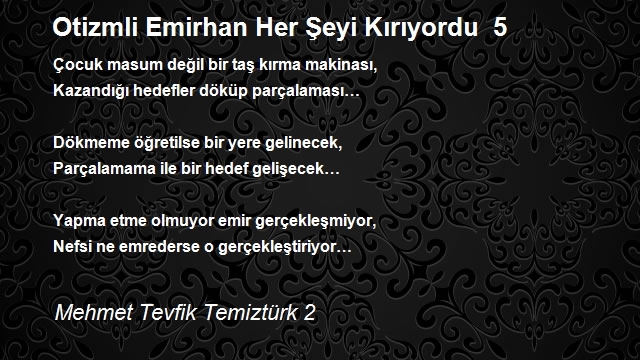 Mehmet Tevfik Temiztürk 2