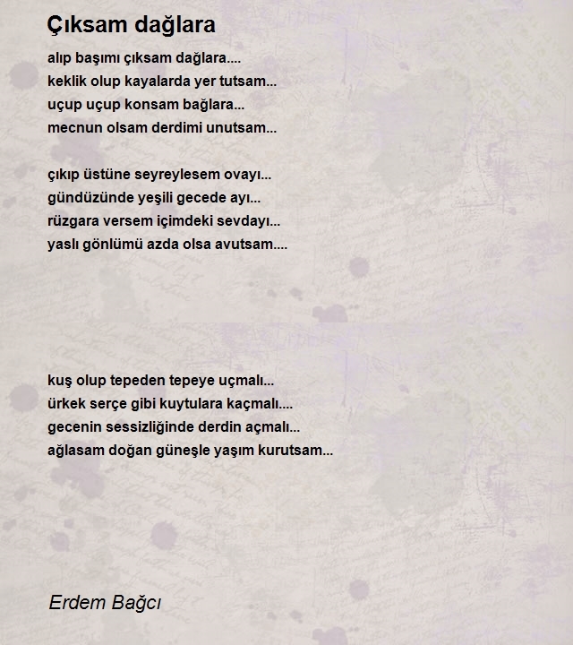 Erdem Bağcı