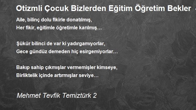 Mehmet Tevfik Temiztürk 2