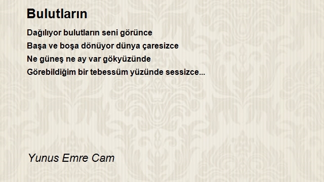 Yunus Emre Cam