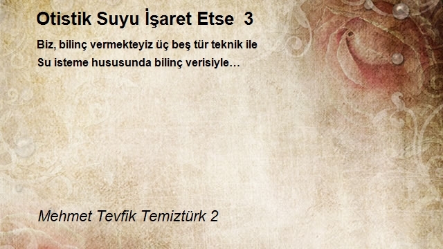 Mehmet Tevfik Temiztürk 2