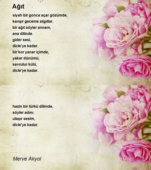 Merve Akyol