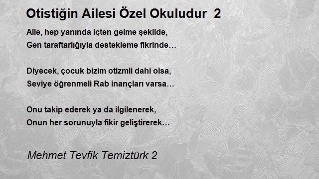 Mehmet Tevfik Temiztürk 2