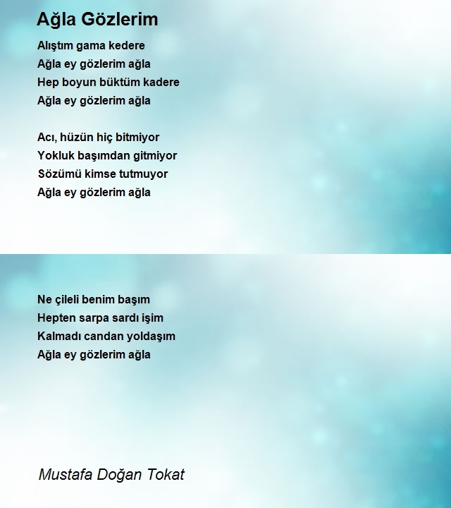 Mustafa Doğan Tokat