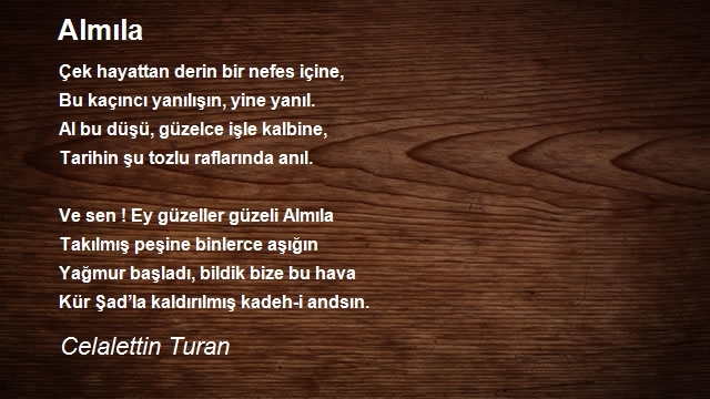 Celalettin Turan