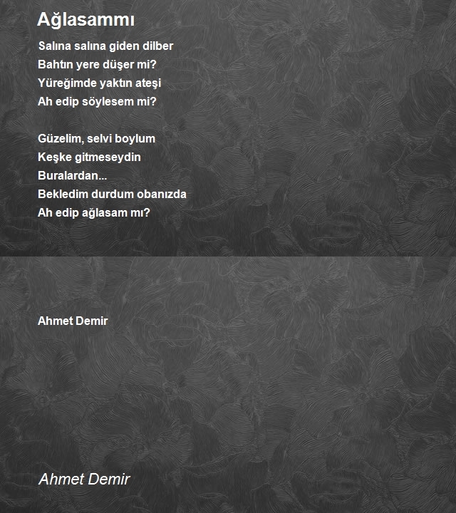 Ahmet Demir