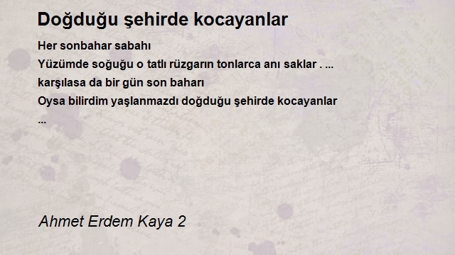 Ahmet Erdem Kaya 2