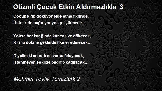 Mehmet Tevfik Temiztürk 2