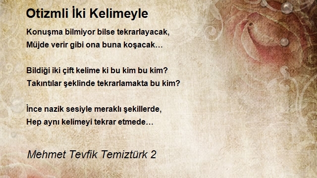 Mehmet Tevfik Temiztürk 2