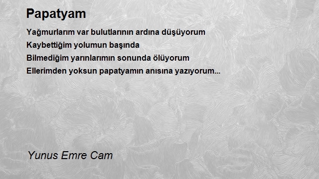 Yunus Emre Cam