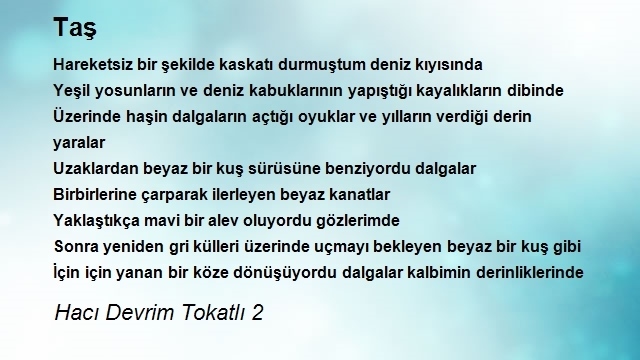 Hacı Devrim Tokatlı 2