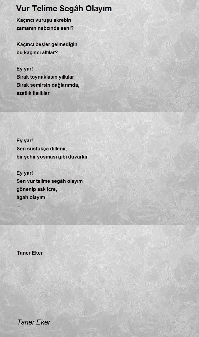 Taner Eker