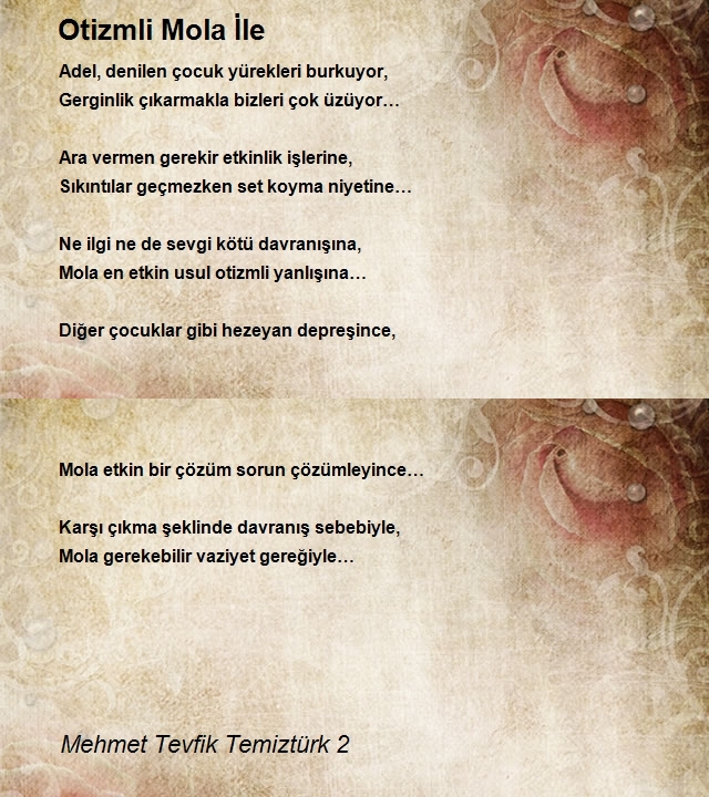 Mehmet Tevfik Temiztürk 2