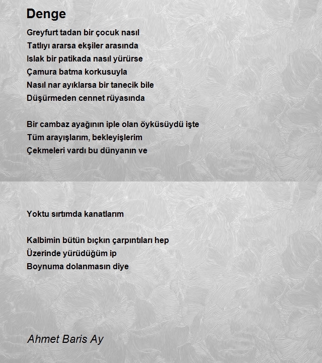 Ahmet Baris Ay