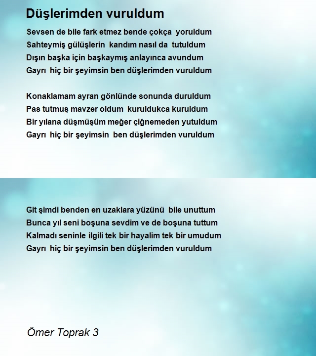 Ömer Toprak 3