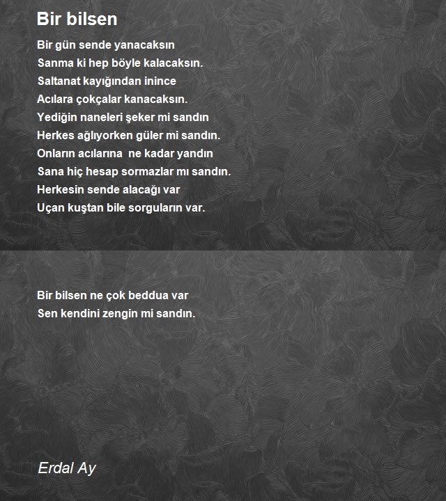 Erdal Ay