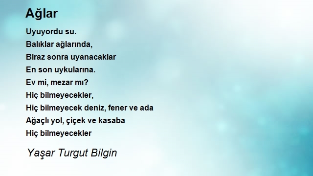 Yaşar Turgut Bilgin