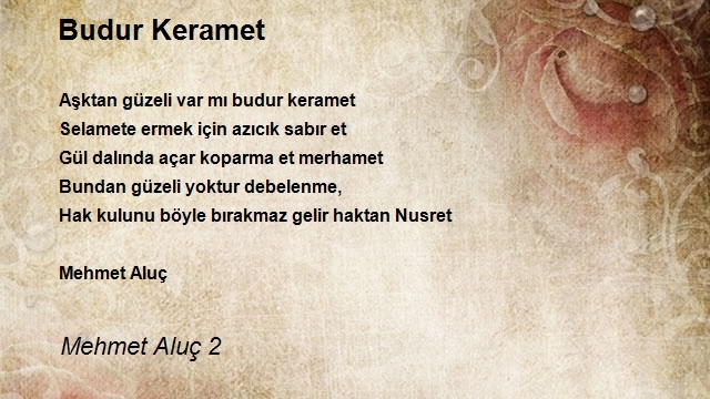 Mehmet Aluç 2