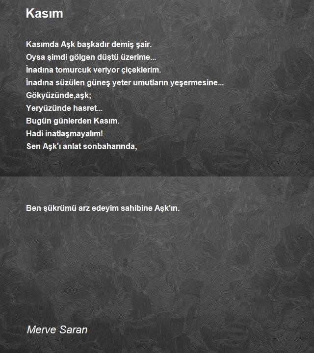 Merve Saran