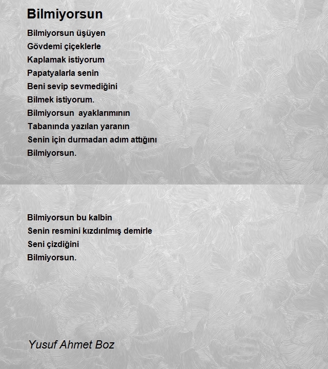 Yusuf Ahmet Boz