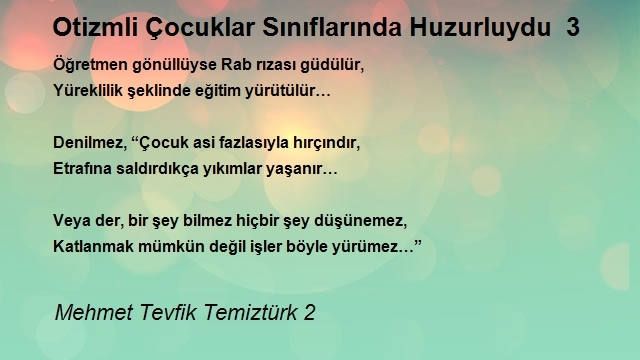 Mehmet Tevfik Temiztürk 2