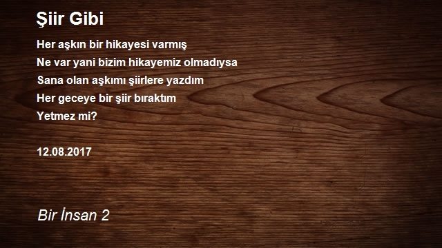 Bir İnsan 2