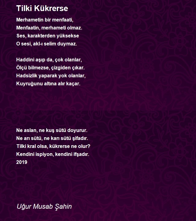 Uğur Musab Şahin