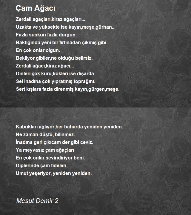 Mesut Demir 2