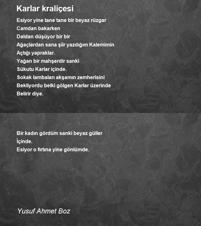 Yusuf Ahmet Boz