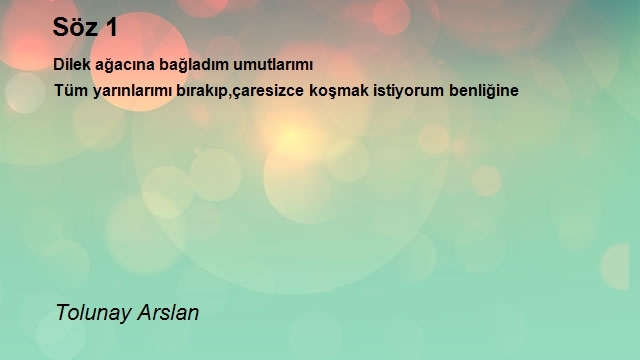 Tolunay Arslan