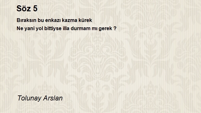 Tolunay Arslan