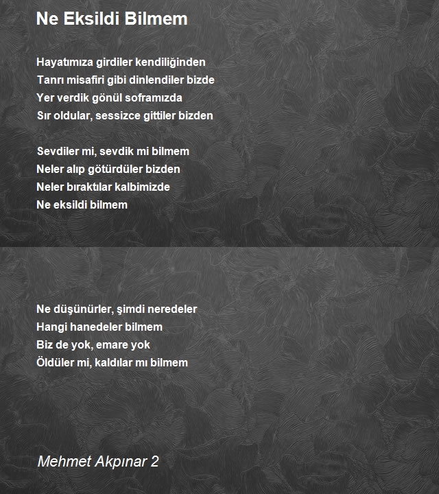 Mehmet Akpınar 2