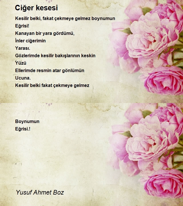 Yusuf Ahmet Boz