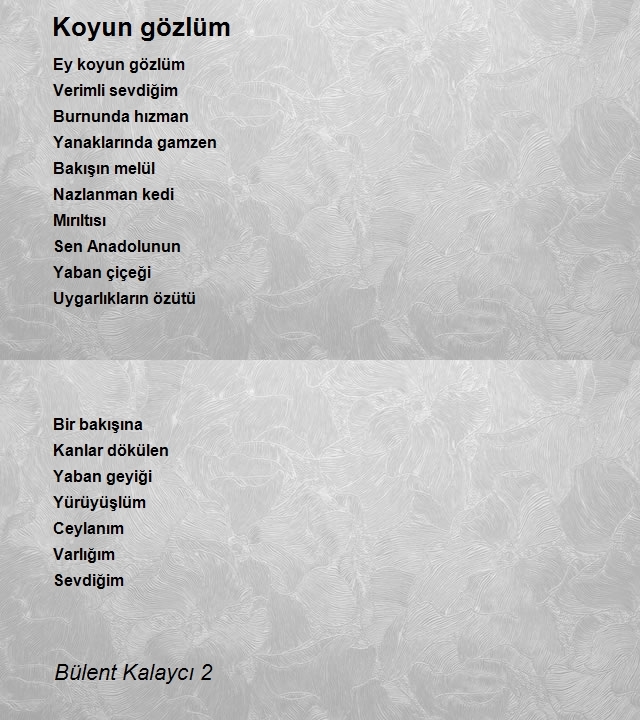 Bülent Kalaycı 2