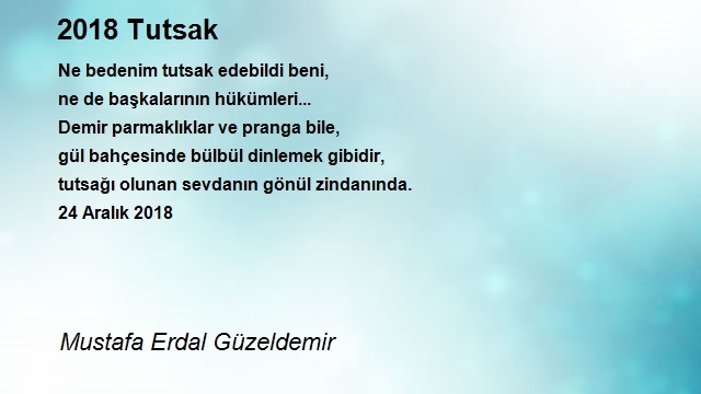 Mustafa Erdal Güzeldemir