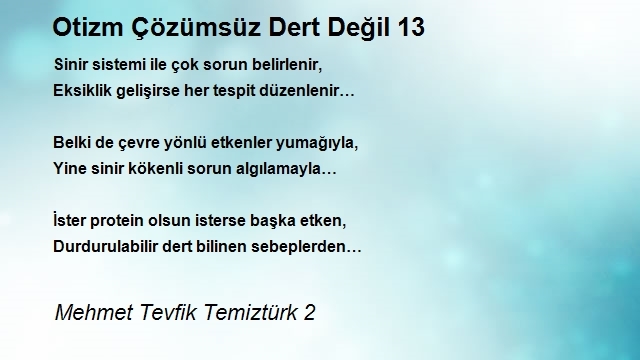 Mehmet Tevfik Temiztürk 2