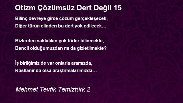 Mehmet Tevfik Temiztürk 2